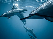 华体会官网入口-分钟计数颠球,现在慢了,最高记录,1分钟246个