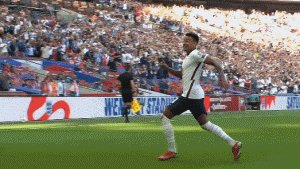 1630931148358049360.gif 林加德.gif